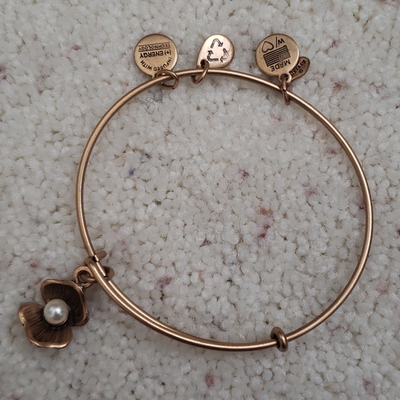 Alex and Ani Oyster Charm Bangle - Picture 2 of 3